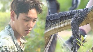 5총사, 어마 무시한 크기 악어 ‘비아왁 사냥 성공’